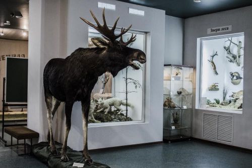 ГУК «Музей природы Костромской области»