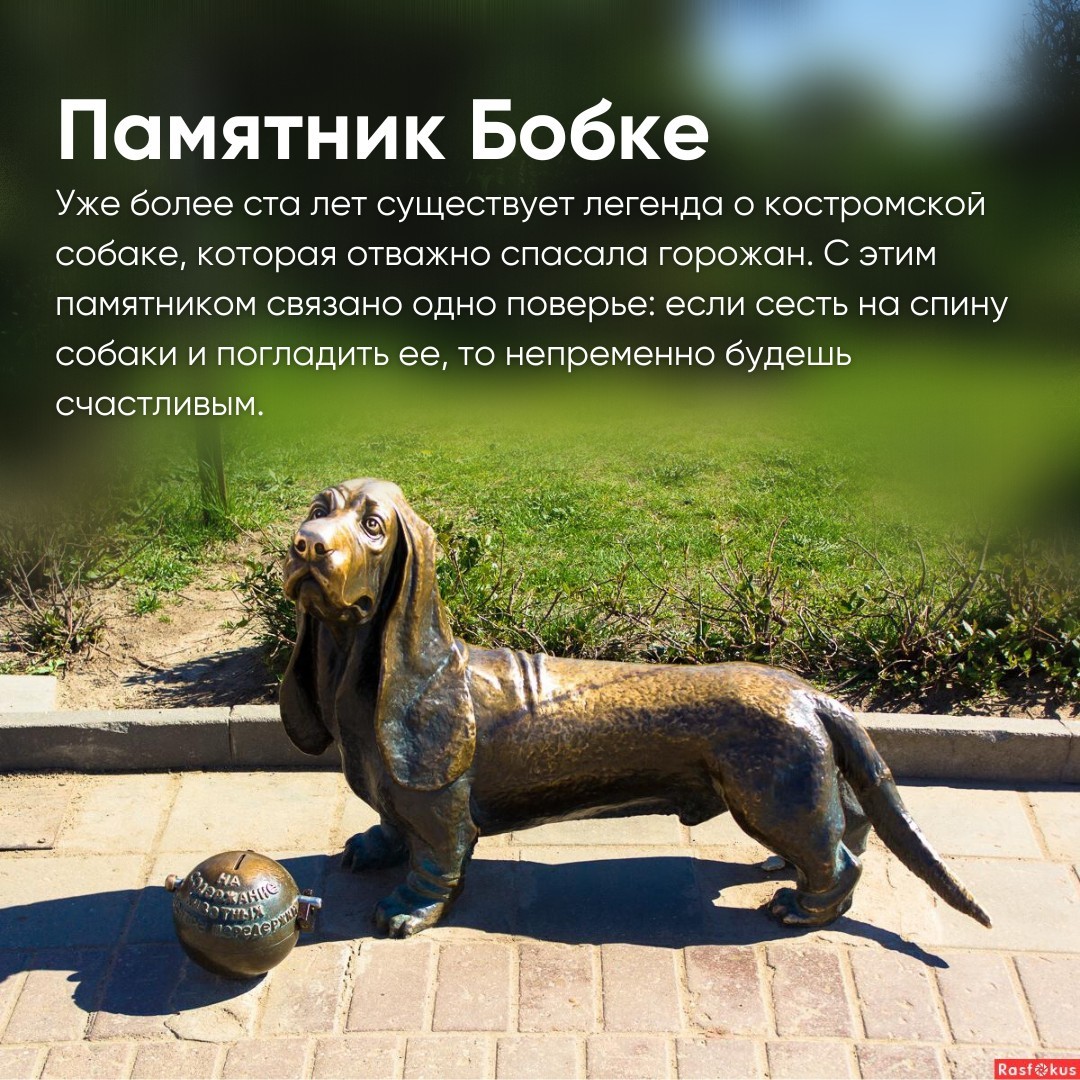 Памятник собачке в Костроме