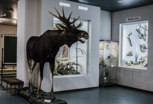 ГУК «Музей природы Костромской области»